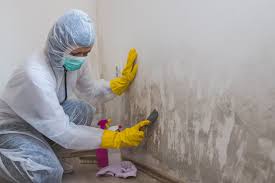 Best Attic Mold Removal  in Killen, AL